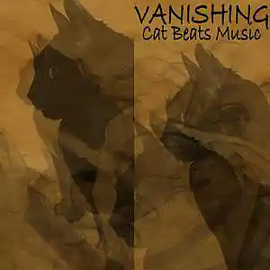 Picture for song 'Vanishing' by artist 'Cat Beats'