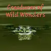 Picture for song 'Creatures Of Wild Wonders - Duet' by artist 'Gloria May Byron'