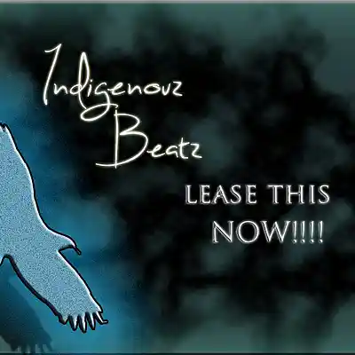 Picture for song 'New Joint 1,10,12 preview' by artist 'IndigenouzBeatz Producer'