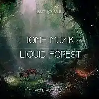 Picture for song 'Liquid forest (Roy Woods type beat. free D/L)' by artist 'IOME MUZIK'