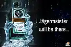 Picture for song 'I Just Wanna Party' by artist 'Jager'