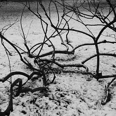 Picture for song 'Twisted' by artist 'Jeff Waldman'