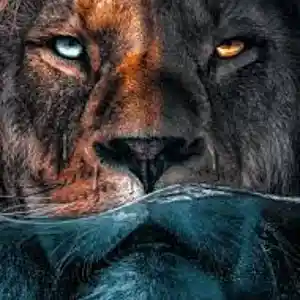 Picture for song 'Freestyle type beat - lion' by artist 'shaqfuture'