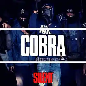 Picture for song 'COBRA' by artist 'Silent The Producer'