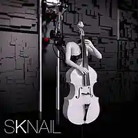 Picture for song 'Anthem' by artist 'SKNAIL'