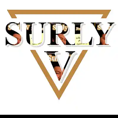 Picture for song 'take it all (bootleg soundclick exclusive)' by artist 'Surly V'