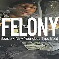 Picture for song 'NBA Youngboy Type Beat - Felony ' by artist 'tntbeatsXD'