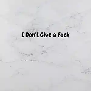 Picture for song 'T-0urs - Dont Give A' by artist 't-ours . t-ours .'