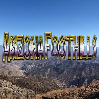 Picture for song 'Arizona Foothills' by artist 'Axiomatic Instrumentals'