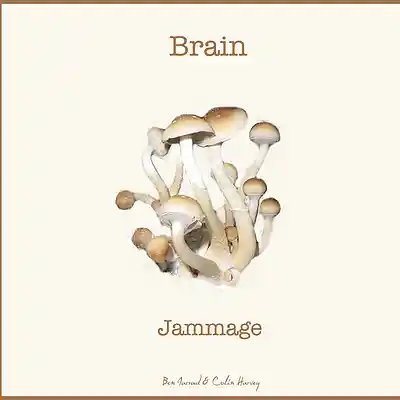 Picture for song 'Syndicate' by artist 'Brain Jammage'