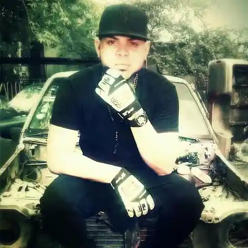 Artist picture