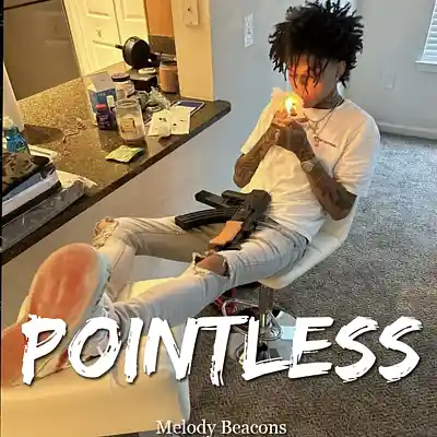Picture for song 'Key Glock x Big30 x Kenny Muney - Pointless BPM 13' by artist 'Hashtag6eatZ033'