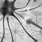 Picture for song 'Thought Control' by artist 'The Incredible Molasses Disaster'