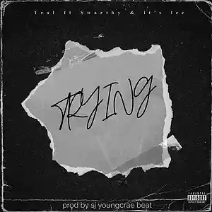 Picture for song 'Tral ft swarthy & it's lee (prod by SJ youngcrae b' by artist 'Tral zm'