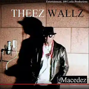 Picture for song 'Theez Wallz By: Macedez' by artist 'X-Sperience a.k.a Macedez'
