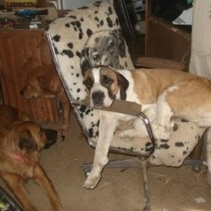 Picture for song 'Who?' by artist 'Amberwolf'