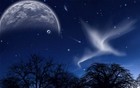 Picture for song 'Stay tonigth(remix re up good quality)' by artist 'androider'