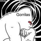 Picture for song 'Gorillas Anthem Ft Fatility' by artist 'Black Banadannas Productions'