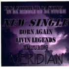 Picture for song 'Middle Of Da Storm Feat. Meridian' by artist 'Born Again Livin' Legends'