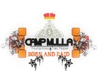 Picture for song 'Low' by artist 'Camp Mulla'