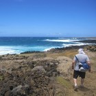 Picture for song 'Coffee in Kona' by artist 'Carlo D'Anna'