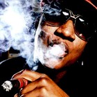 Picture for song 'Roll It Up' by artist 'Cash X Beatz'