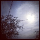 Picture for song 'Let it Go' by artist 'Chelsea Lamb'