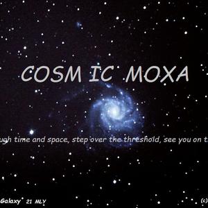 Picture for song 'STONE COLD JAZZ' by artist 'COSMIC MOXA'