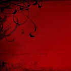cover pic