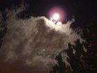 Picture for song 'Reality n Desperation' by artist 'geo42'