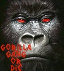 Picture for song 'grave yard(2012 beat)' by artist 'Gorilla Beatz'