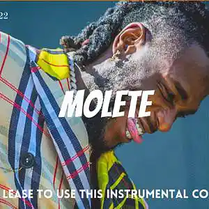 Picture for song 'MOLETE - Rema x Burnaboy Type Beat 2022' by artist 'Haber Sounds'