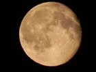 Picture for song 'Mother Earth ( Song For Japan )' by artist 'jens brandt'