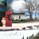 Picture for song 'Pryderi Song / Ride the White Horse, Rhiannon' by artist 'Jodee James'