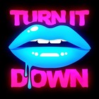 Picture for song 'TURN IT DOWN - remake. prod by LEGACY BEATZ' by artist 'JTLBeatz'