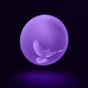Picture for song 'Praise (Rick Ross x Nipsey Hussle Type Beat)' by artist 'LEXI BANKS'
