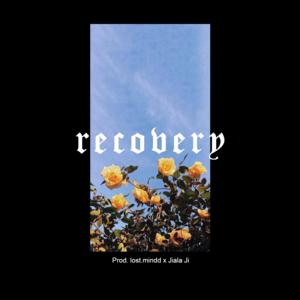 Picture for song 'Recovery - Don Toliver x Travis Scott Type Beat' by artist 'lost.mindd Beats'