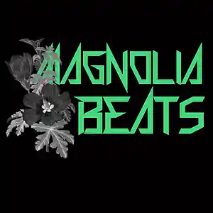 Picture for song 'T-minus' by artist 'magnoliabeats'