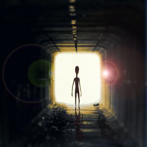 Picture for song 'Mola Mola' by artist 'Komar NeJanko'