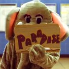 Picture for song 'Paradise - Hip Hop REMAKE!' by artist 'Mickey Montz'