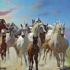 Picture for song 'Roaming Free' by artist 'Mikejazz'