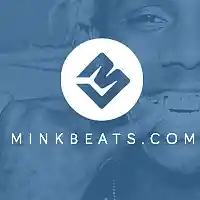 Picture for song 'Wrekt (Buy 1 Get 3 Free MinkBeats.com)' by artist 'Mink Beats'