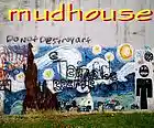 Picture for song 'Tryin' To Stay 'Live' by artist 'Mudhouse Project'