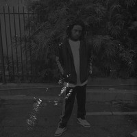 Picture for song 'Gold Ring ' by artist 'Nick Vanelli'