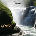Picture for song 'Legacy' by artist 'Pinecats'