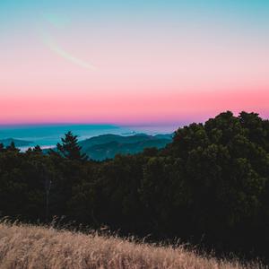 Picture for song 'Cotton Candy' by artist 'P.R Beats'