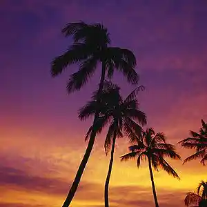 Picture for song 'Dreamin' by artist 'Prodbymillz'