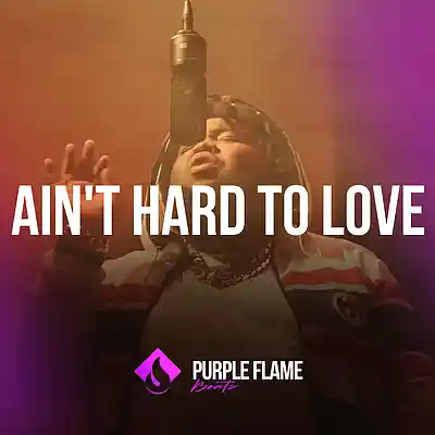Picture for song 'Ain't Hard To Love (Buy 1 Get 1 Free)' by artist 'PURPLE FLAME BEATS'