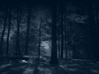Picture for song 'To Find (Pop Type)' by artist 'PURPS BEATS'