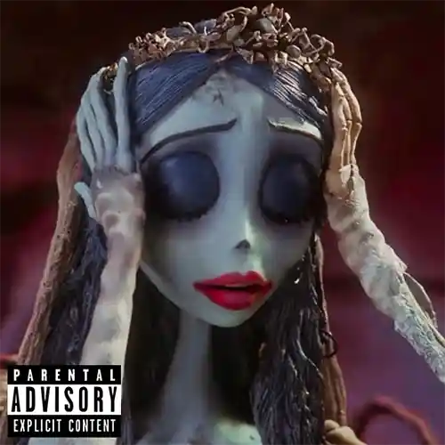 cover pic